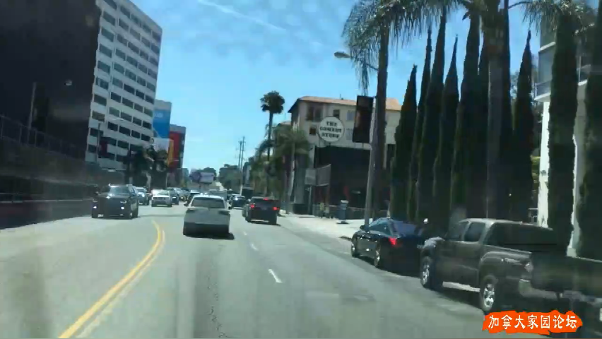 好莱坞 - 日落大道 实景拍摄，洛杉矶旅游#美国  I Sunset Boulevard - Hollywood Walk of Fame