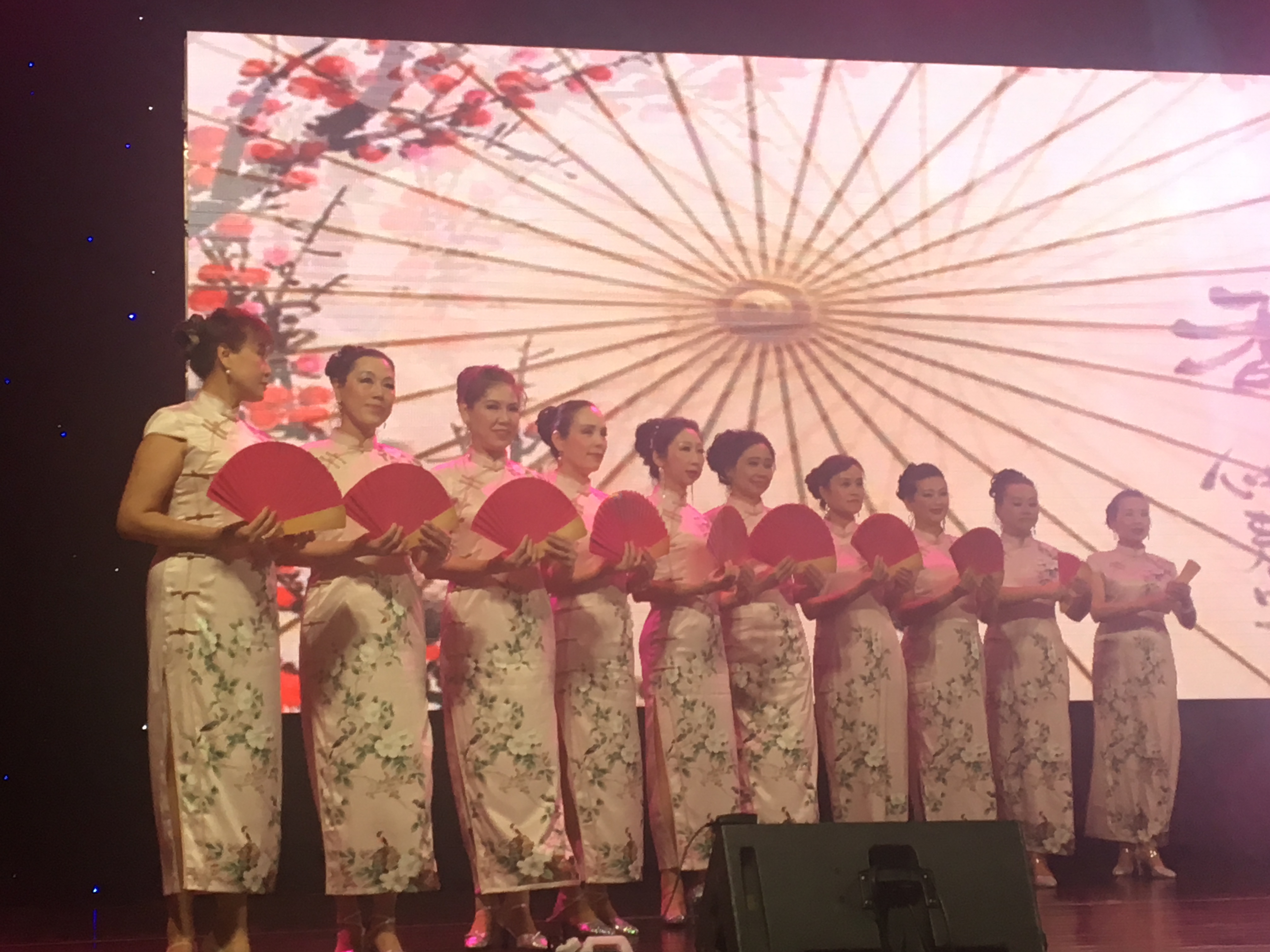 东枫彩多元文化艺术团唱歌舞蹈