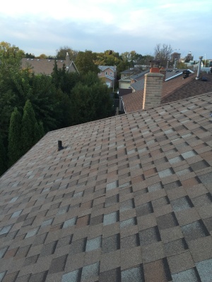 专业屋顶维修 免费上门估价 最好的质量保证